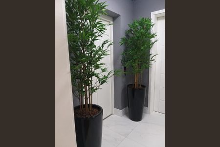 Apartamento à venda com 145m², 3 quartos e 2 vagas