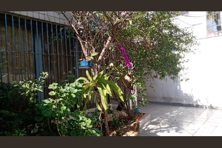 Casa à venda com 350m², 3 quartos e 3 vagas Casa à venda com 350m², 3 quartos e 3 vagasFoto 15