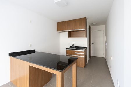 Apartamento para alugar com 25m², 1 quarto e sem vagaCozinha