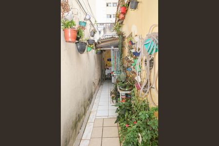 Quintal e Área de serviço de casa para alugar com 2 quartos, 125m² em Lapa, São Paulo