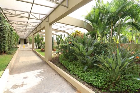 Apartamento para alugar com 67m², 3 quartos e 1 vagaÁrea comum