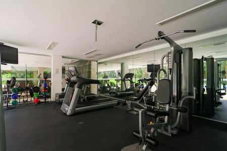 Apartamento para alugar com 520m², 3 quartos e 4 vagasÁrea comum - Academia