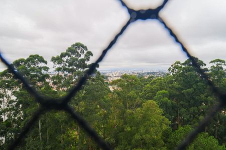 Apartamento para alugar com 520m², 3 quartos e 4 vagasVista da Varanda da Sala