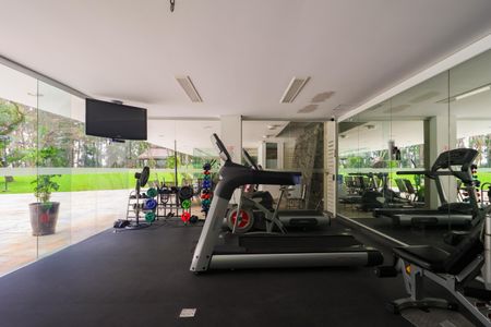 Apartamento para alugar com 520m², 3 quartos e 4 vagasÁrea comum - Academia