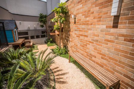 Studio para alugar com 26m², 1 quarto e sem vagaÁrea comum - Espaço Pet