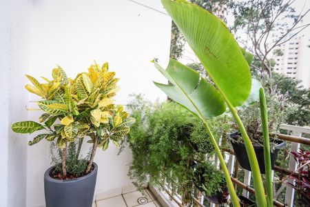 Apartamento para alugar com 48m², 1 quarto e 1 vaga Apartamento para alugar com 48m², 1 quarto e 1 vagaVaranda da Sala