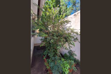 Casa para alugar com 101m², 2 quartos e sem vagaQuintal