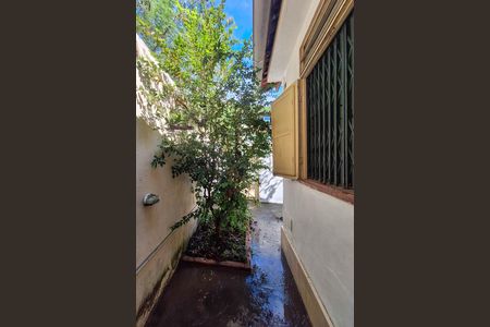 Casa para alugar com 101m², 2 quartos e sem vagaQuintal