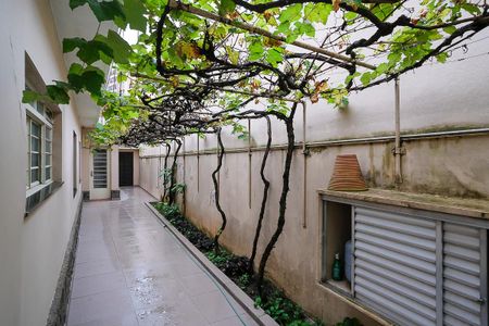 Casa à venda com 222m², 3 quartos e 4 vagasQuintal