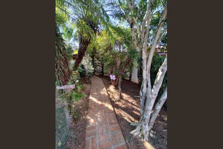 Casa para alugar com 475m², 3 quartos e 3 vagas Casa para alugar com 475m², 3 quartos e 3 vagasFoto 42