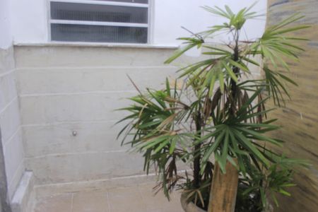 Casa para alugar com 350m², 4 quartos e 5 vagasSala - Jardim de inverno