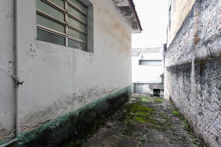 Casa à venda com 400m², 2 quartos e 3 vagasQuintal