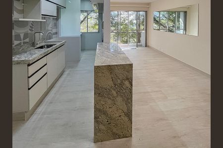 Apartamento para alugar com 50m², 2 quartos e 1 vaga Apartamento para alugar com 50m², 2 quartos e 1 vagaCozinha Americana