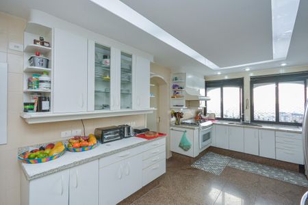 Apartamento à venda com 563m², 5 quartos e 4 vagasCozinha