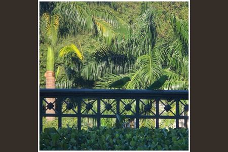 Apartamento à venda com 375m², 4 quartos e 6 vagas