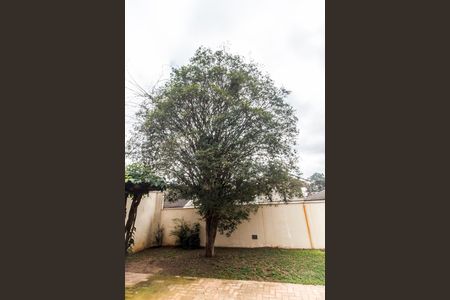 Casa à venda com 480m², 4 quartos e 4 vagasQuintal