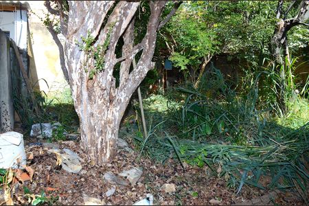 Casa à venda com 300m², 3 quartos e sem vagaQuintal