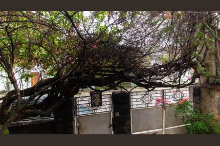 Casa à venda com 300m², 3 quartos e 5 vagas Casa à venda com 300m², 3 quartos e 5 vagasVista