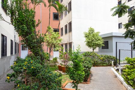 Apartamento para alugar com 48m², 2 quartos e 1 vaga Apartamento para alugar com 48m², 2 quartos e 1 vagaÁrea comum