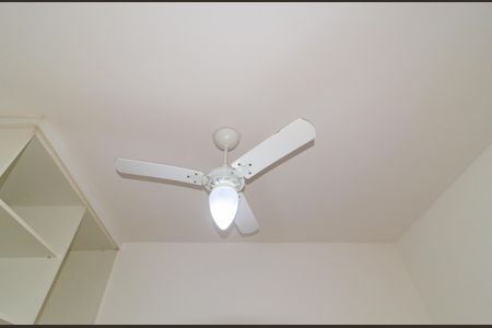 Studio para alugar com 20m², 1 quarto e sem vagaStudio