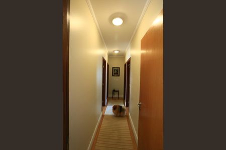 Apartamento à venda com 250m², 4 quartos e 4 vagascorredor