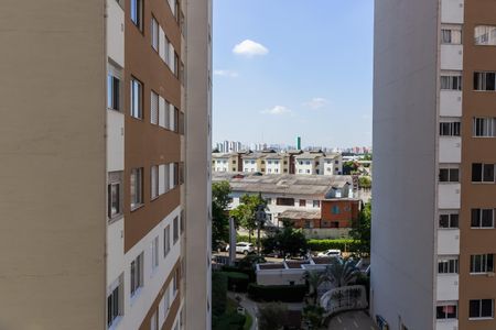 Apartamento para alugar com 44m², 2 quartos e sem vagaVista da Lavanderia