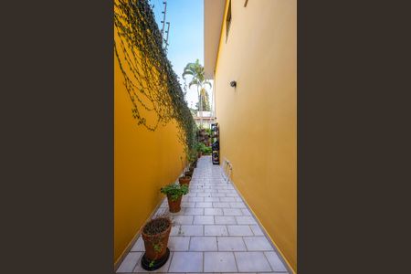 Casa à venda com 189m², 4 quartos e 3 vagas Casa à venda com 189m², 4 quartos e 3 vagasQuintal