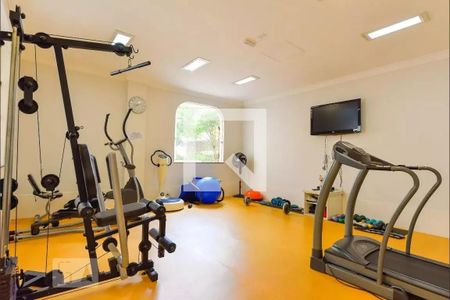 Apartamento à venda com 97m², 3 quartos e 1 vaga Apartamento à venda com 97m², 3 quartos e 1 vagaÁrea comum - Academia