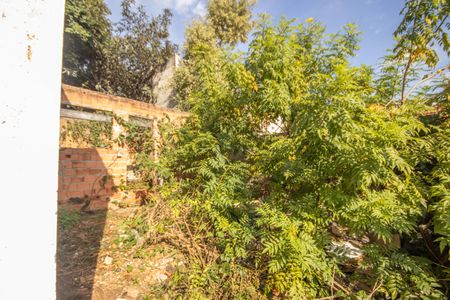 Casa à venda com 384m², 4 quartos e 1 vagaQuintal