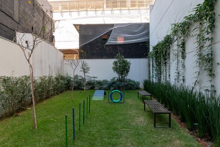Studio para alugar com 25m², 1 quarto e sem vaga Studio para alugar com 25m², 1 quarto e sem vagaÁrea comum - Área Pet