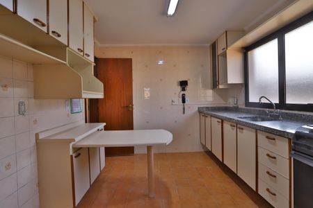 Apartamento à venda com 221m², 3 quartos e 2 vagasCozinha