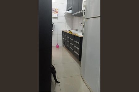 Apartamento à venda com 2 quartos, 47m² em Vila Pires, Santo André