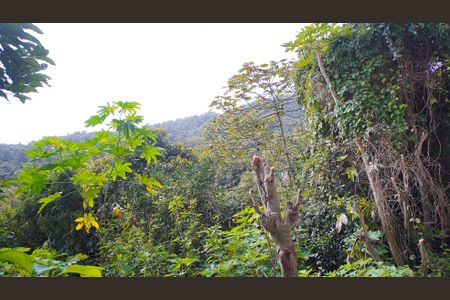 Studio para alugar com 30m², 1 quarto e 1 vagaVista Sala/Quarto