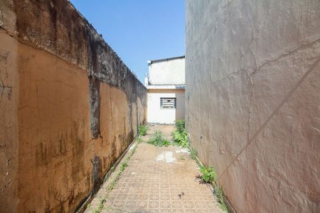 Casa à venda com 176m², 3 quartos e 3 vagasQuintal e Área de Serviço