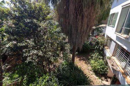 Casa à venda com 350m², 3 quartos e 3 vagasQuintal