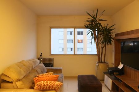 Sala de apartamento à venda com 3 quartos, 81m² em Vila Hamburguesa, São Paulo