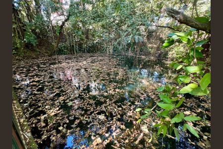 Apartamento à venda com 140m², 3 quartos e 1 vagaBosque - Lago