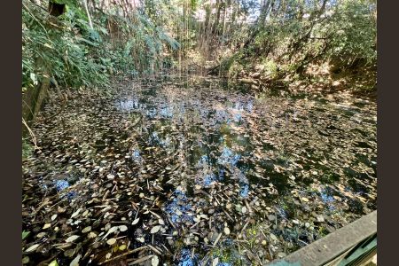 Apartamento à venda com 140m², 3 quartos e 1 vagaBosque - Lago