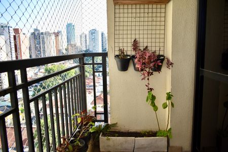 Sacada de apartamento para alugar com 3 quartos, 120m² em Chácara Inglesa, São Paulo