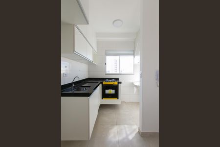 Apartamento para alugar com 49m², 2 quartos e sem vaga Apartamento para alugar com 49m², 2 quartos e sem vagaCozinha - Armários