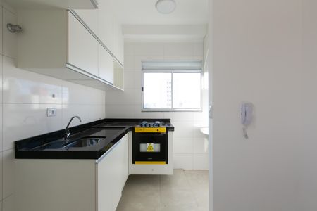 Apartamento para alugar com 49m², 2 quartos e sem vaga Apartamento para alugar com 49m², 2 quartos e sem vagaCozinha - Armários