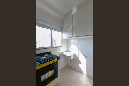 Apartamento para alugar com 49m², 2 quartos e sem vaga Apartamento para alugar com 49m², 2 quartos e sem vagaCozinha / Área de Serviço