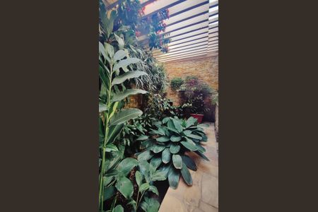 Casa à venda com 1850m², 2 quartos e 4 vagas Casa à venda com 1850m², 2 quartos e 4 vagasÁrea comum - Jardim