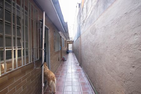 Casa para alugar com 178m², 4 quartos e 2 vagasQuintal