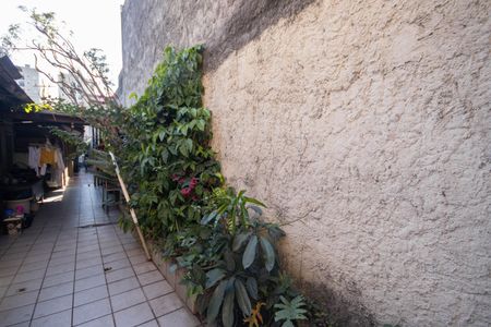 Casa para alugar com 178m², 4 quartos e 2 vagasQuintal