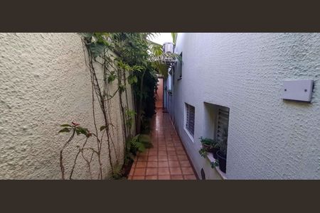 Casa à venda com 250m², 2 quartos e 4 vagas Casa à venda com 250m², 2 quartos e 4 vagasCorredor Externo