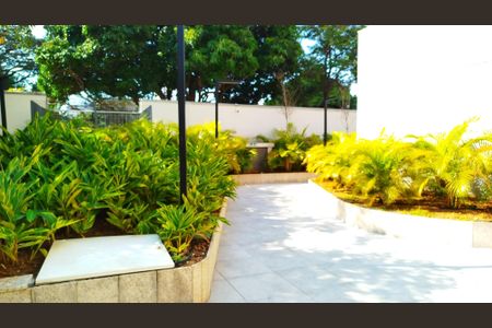 Apartamento à venda com 68m², 2 quartos e 1 vaga Apartamento à venda com 68m², 2 quartos e 1 vagaÁrea comum - jardim