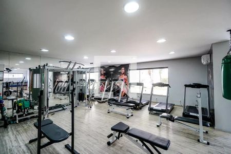 Apartamento para alugar com 220m², 4 quartos e 3 vagas Apartamento para alugar com 220m², 4 quartos e 3 vagasÁrea comum - Academia