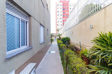 Apartamento à venda com 50m², 2 quartos e 1 vagaÁrea externa