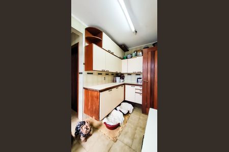 Casa à venda com 440m², 4 quartos e 6 vagasLavanderia